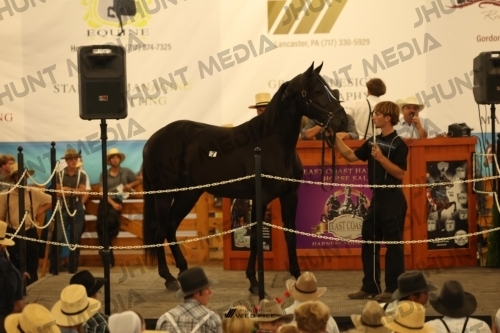 JHM_0938