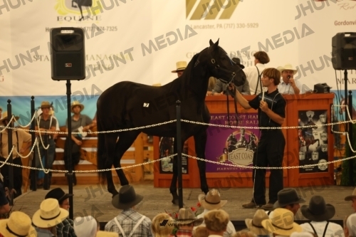JHM_0939