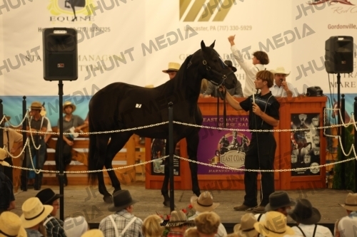 JHM_0940