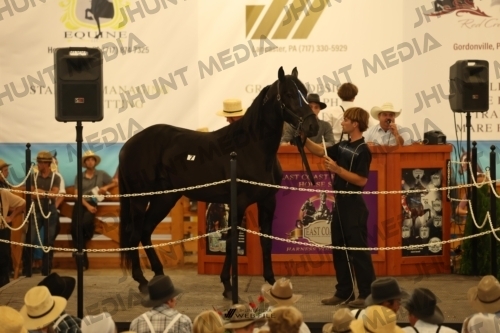 JHM_0941