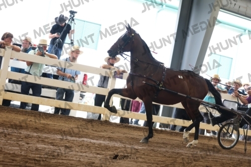 JHM_0283