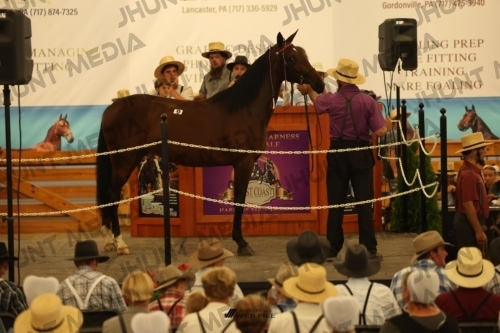 JHM_0943