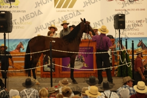 JHM_0947