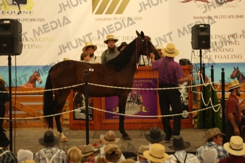 JHM_0948