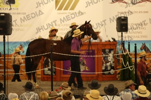 JHM_0949