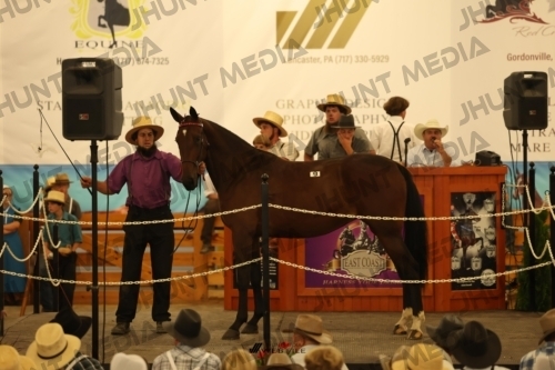 JHM_0950
