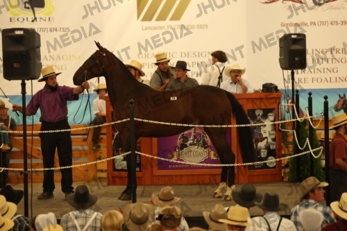 JHM_0952