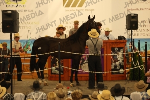 JHM_0956
