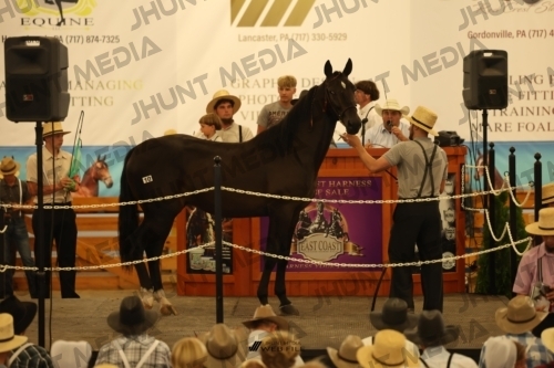 JHM_0958