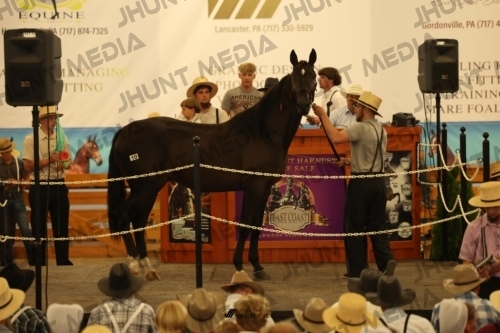 JHM_0959