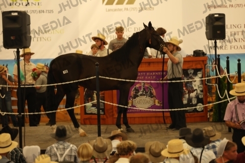 JHM_0961
