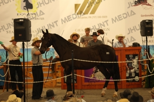 JHM_0964