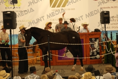 JHM_0966