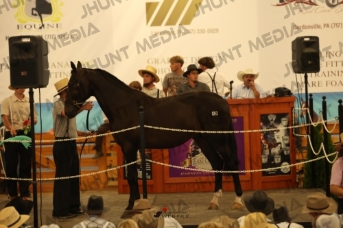 JHM_0967