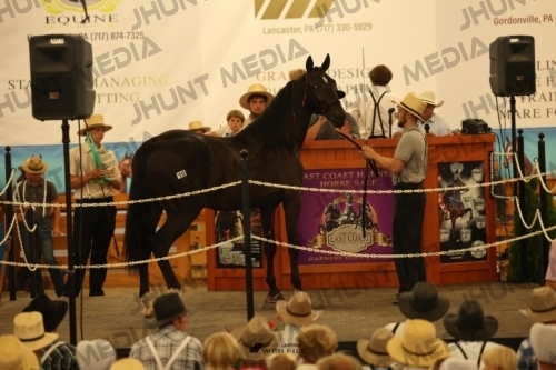 JHM_0971