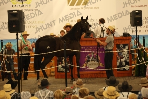 JHM_0972