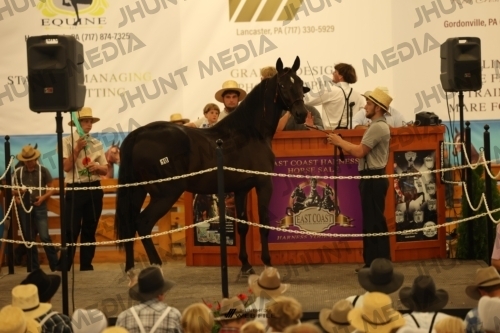 JHM_0973