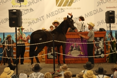 JHM_0974