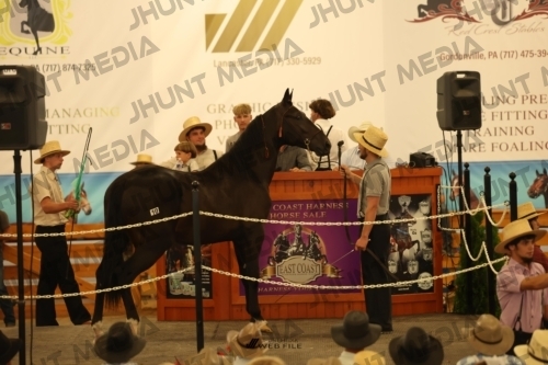 JHM_0976