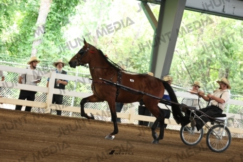 JHM_0093
