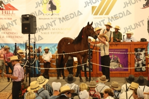 JHM_1065