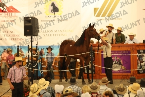 JHM_1066