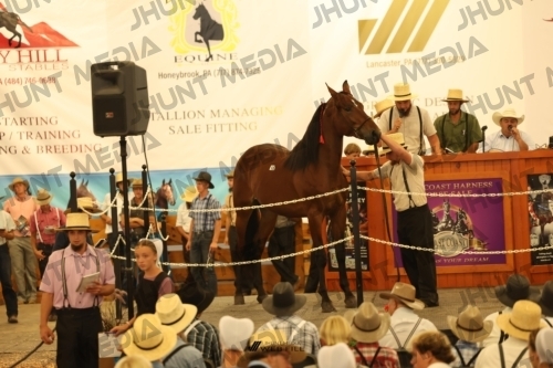 JHM_1067