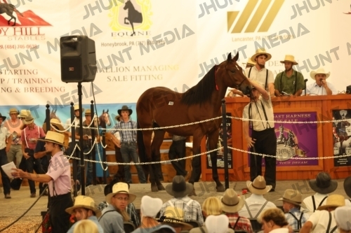 JHM_1068