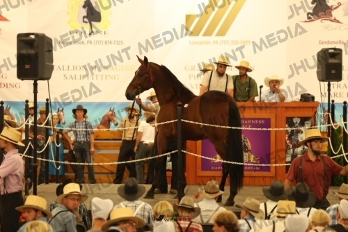 JHM_1069