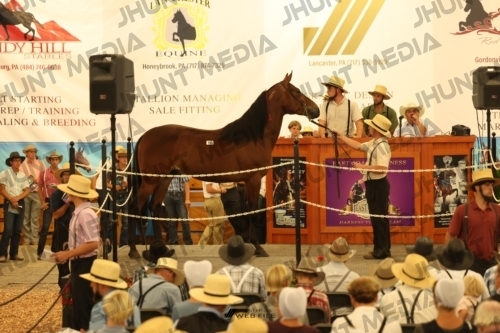 JHM_1071