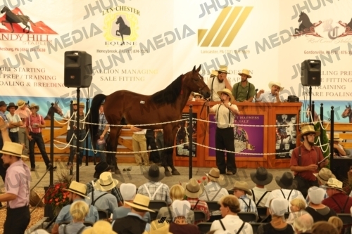JHM_1072