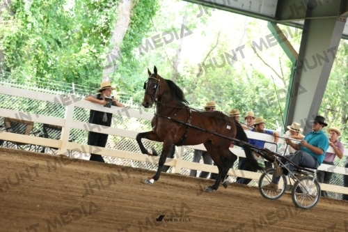 JHM_0639
