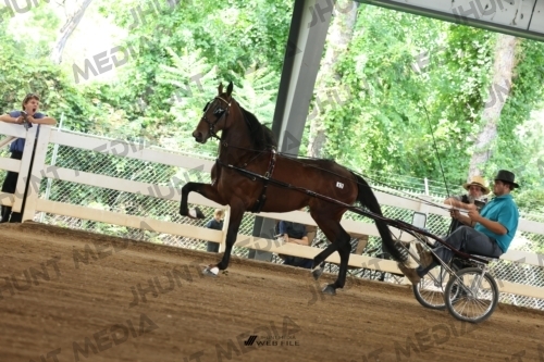 JHM_0640