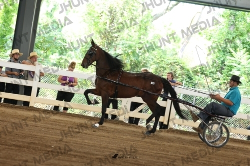 JHM_0641