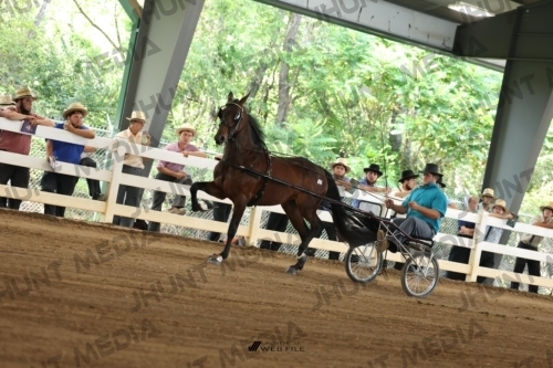 JHM_0654