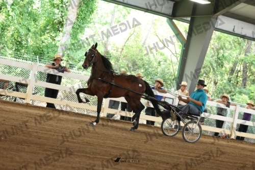 JHM_0655