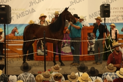 JHM_1024
