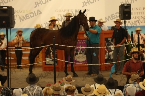 JHM_1025