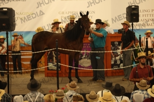 JHM_1026