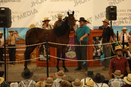 JHM_1027