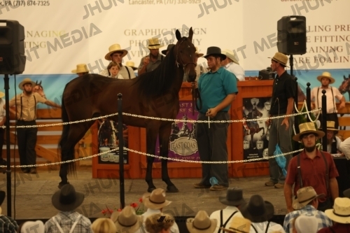 JHM_1028
