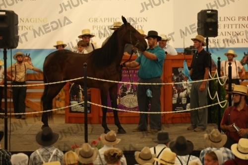 JHM_1029