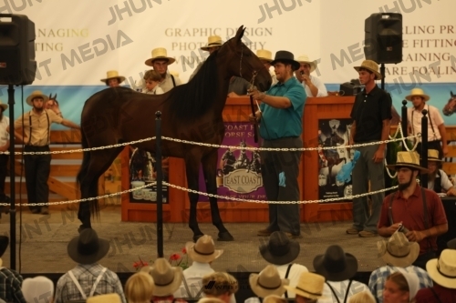 JHM_1030