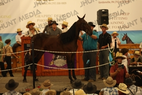 JHM_1031