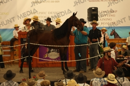 JHM_1032