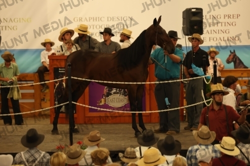 JHM_1033