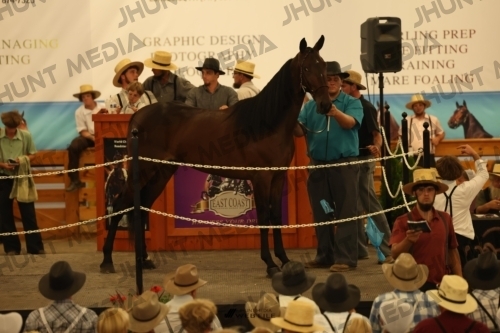 JHM_1034