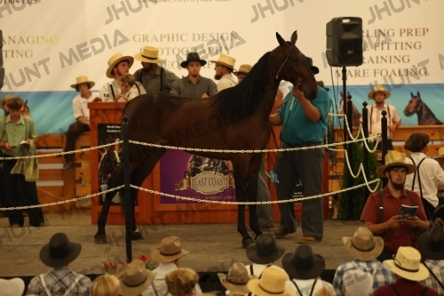 JHM_1035