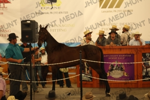 JHM_1036