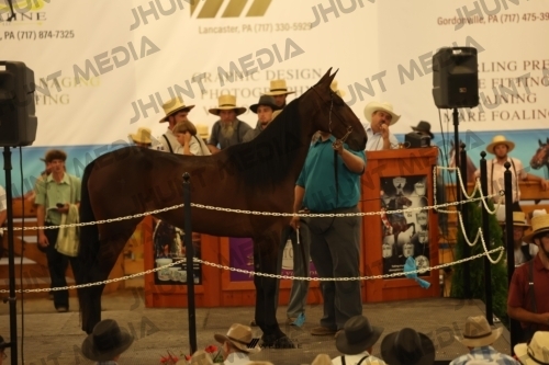 JHM_1038
